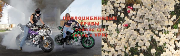 герыч Алзамай