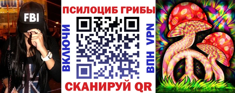 мега зеркало  купить   Задонск  Галлюциногенные грибы мицелий 